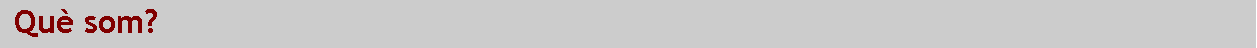 Cuadro de texto:  Qu� som?